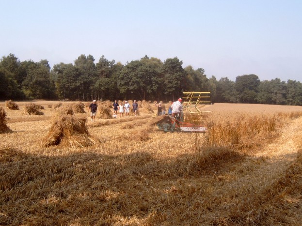 Nieuwe site 020