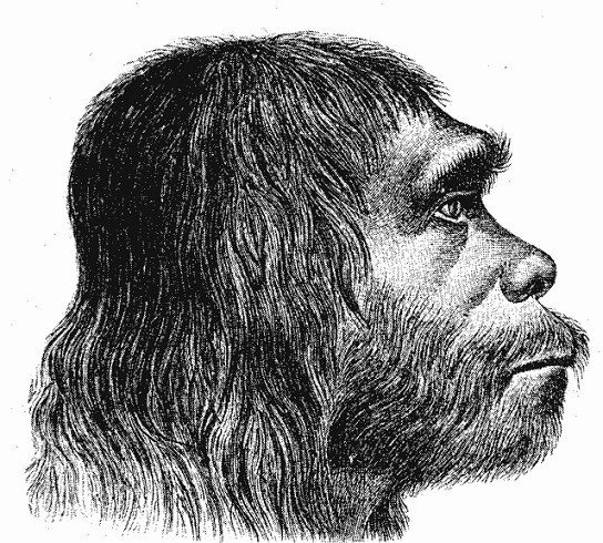 Neandertaler