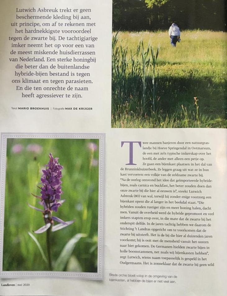 landleven bijen 1.jpg