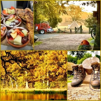 herfst Springendal.jpg