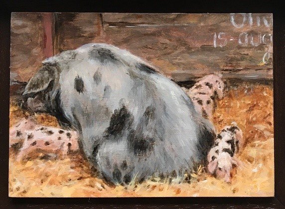 Tekening varken met biggen