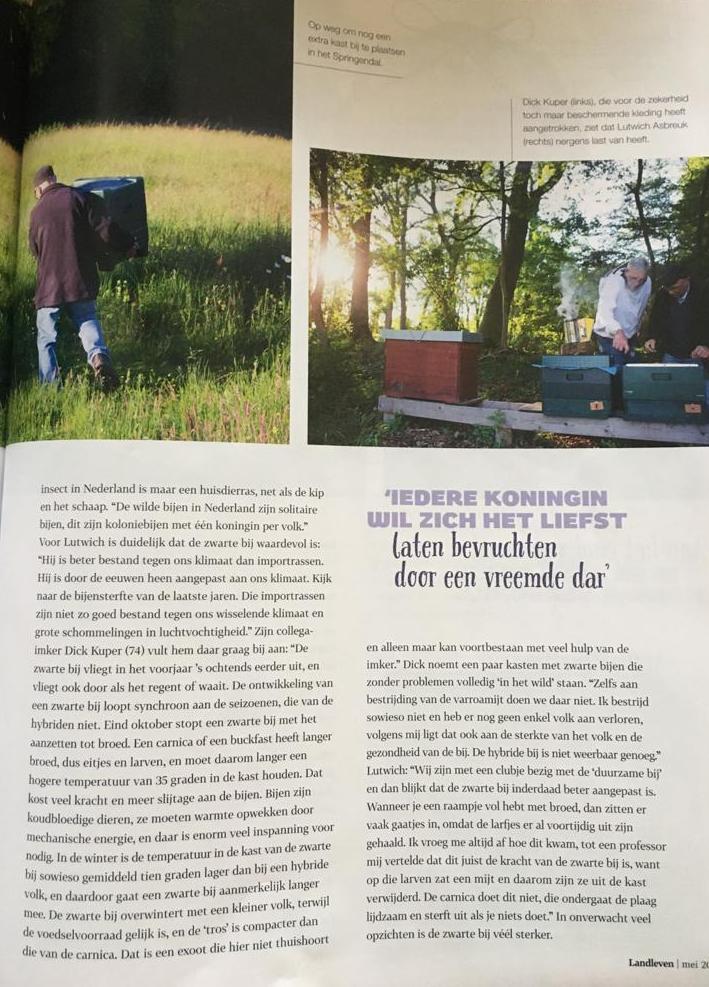 landleven bijen 2.jpg