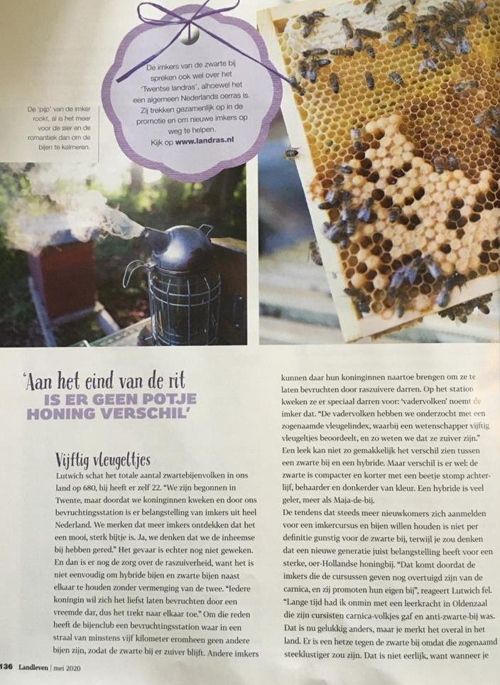 landleven bijen 3.jpg